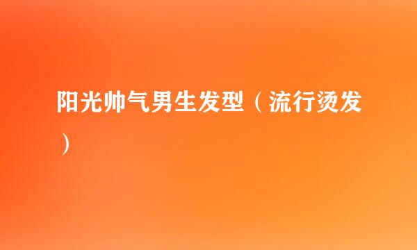 阳光帅气男生发型(流行烫发)