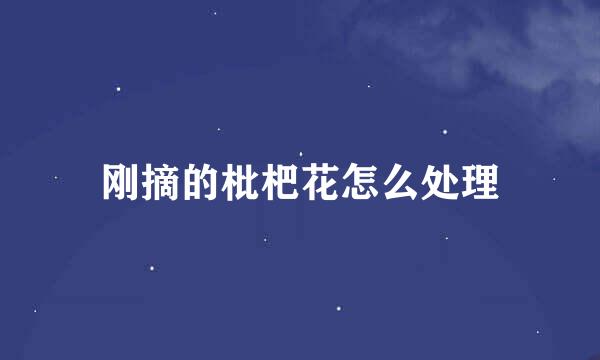 刚摘的枇杷花怎么处理