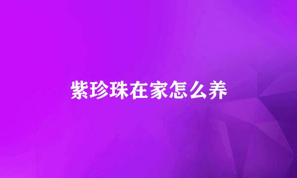 紫珍珠在家怎么养