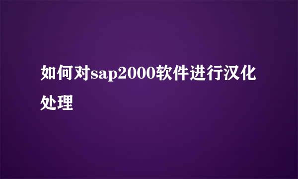 如何对sap2000软件进行汉化处理