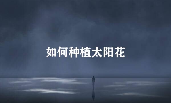如何种植太阳花