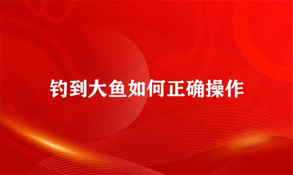 钓到大鱼如何正确操作