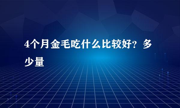 4个月金毛吃什么比较好？多少量