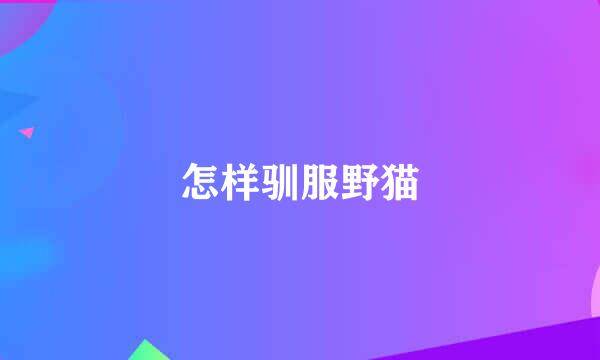 怎样驯服野猫