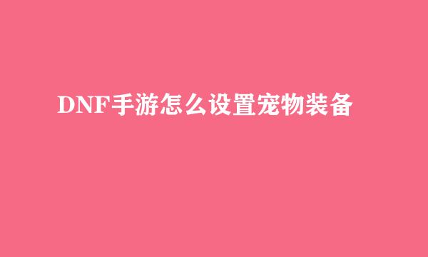 DNF手游怎么设置宠物装备