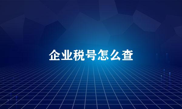 企业税号怎么查