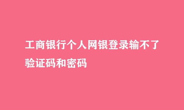 工商银行个人网银登录输不了验证码和密码