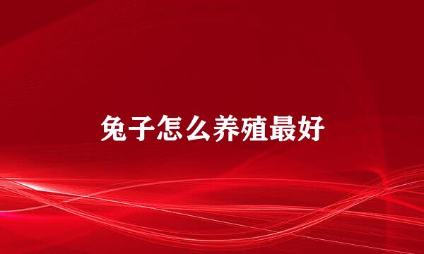 兔子怎么养殖最好