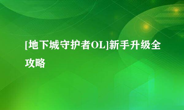 [地下城守护者OL]新手升级全攻略