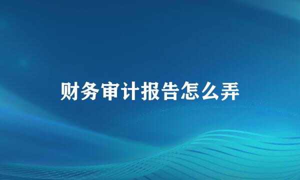 财务审计报告怎么弄
