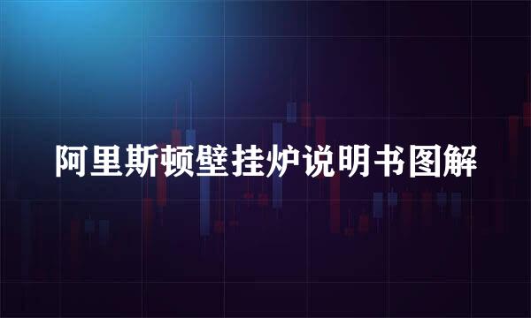 阿里斯顿壁挂炉说明书图解