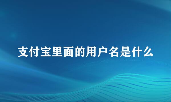 支付宝里面的用户名是什么