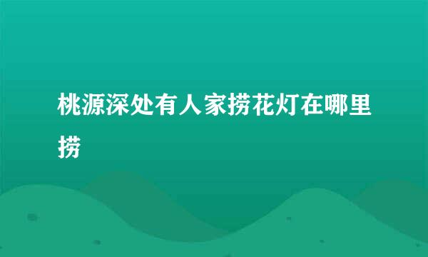 桃源深处有人家捞花灯在哪里捞