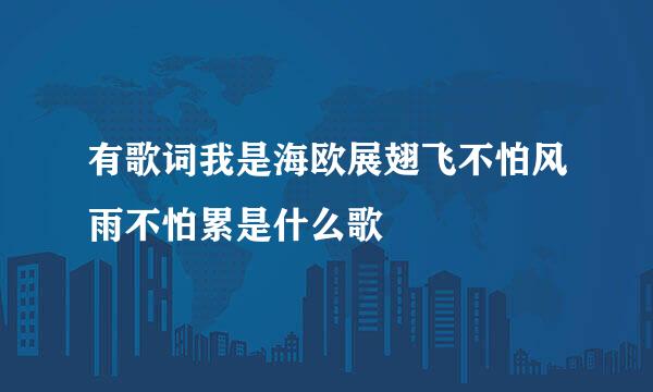 有歌词我是海欧展翅飞不怕风雨不怕累是什么歌