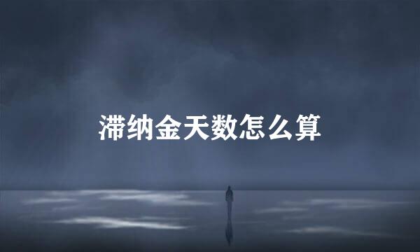滞纳金天数怎么算