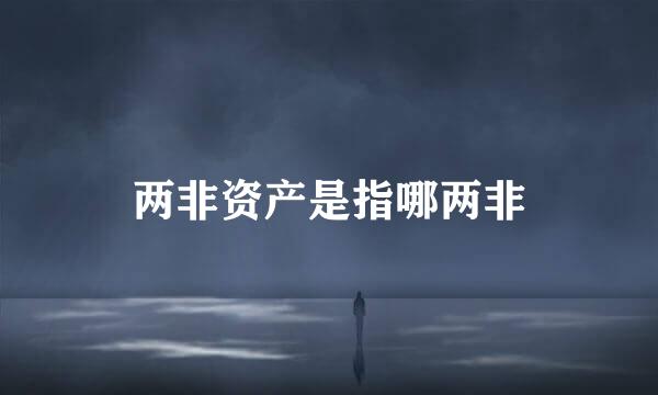 两非资产是指哪两非