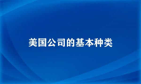 美国公司的基本种类