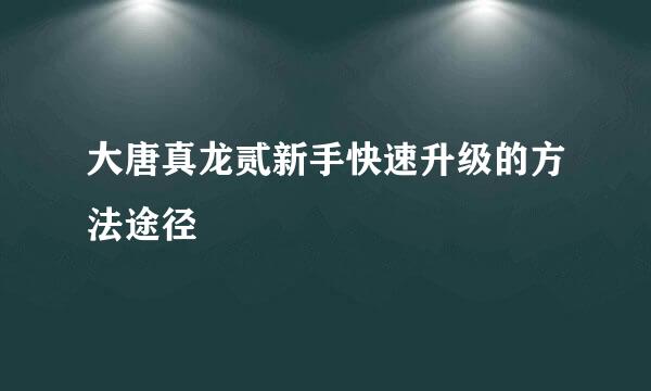 大唐真龙贰新手快速升级的方法途径