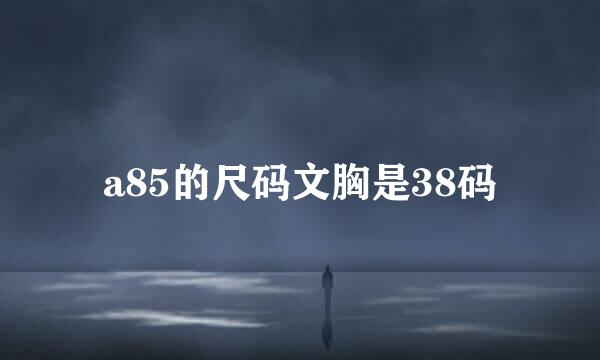 a85的尺码文胸是38码