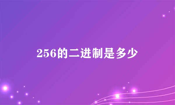 256的二进制是多少