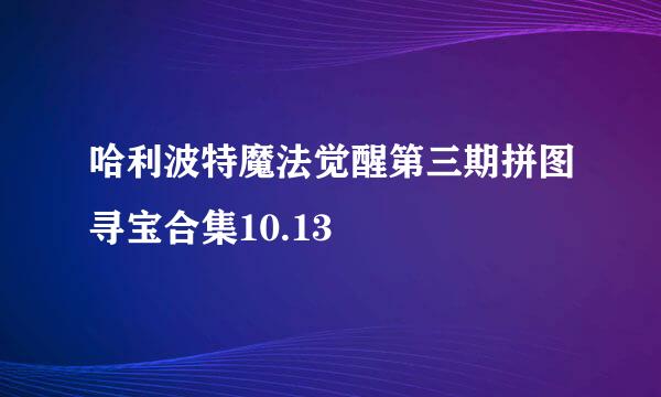 哈利波特魔法觉醒第三期拼图寻宝合集10.13