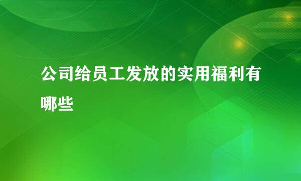 公司给员工发放的实用福利有哪些