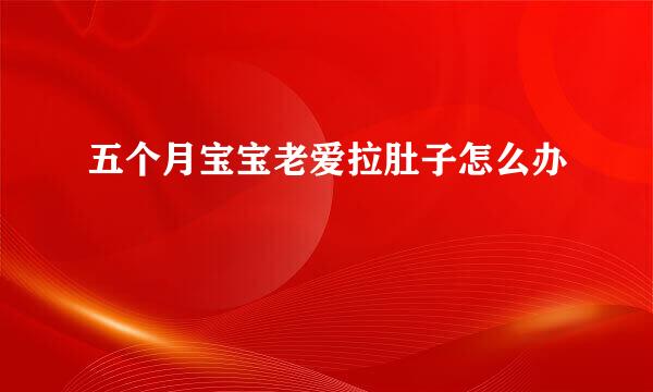 五个月宝宝老爱拉肚子怎么办
