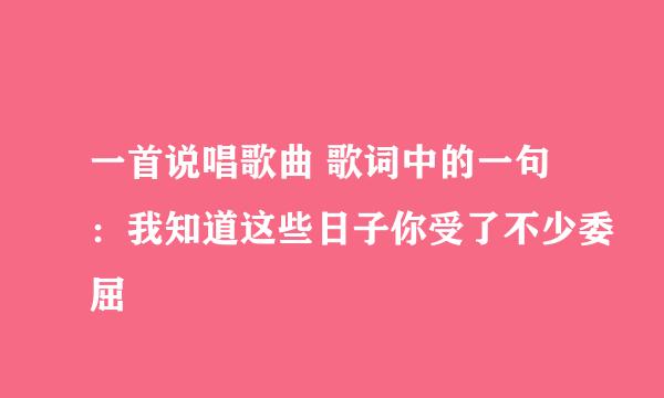 一首说唱歌曲 歌词中的一句:我知道这些日子你受了不少委屈