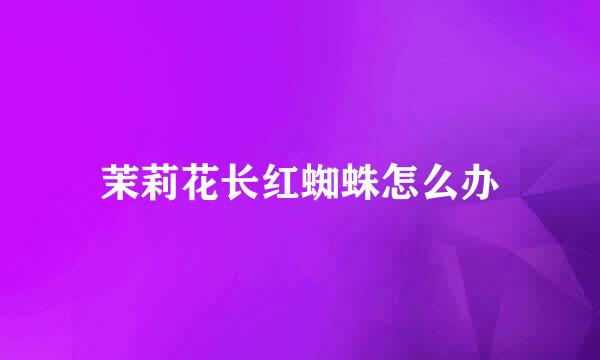 茉莉花长红蜘蛛怎么办