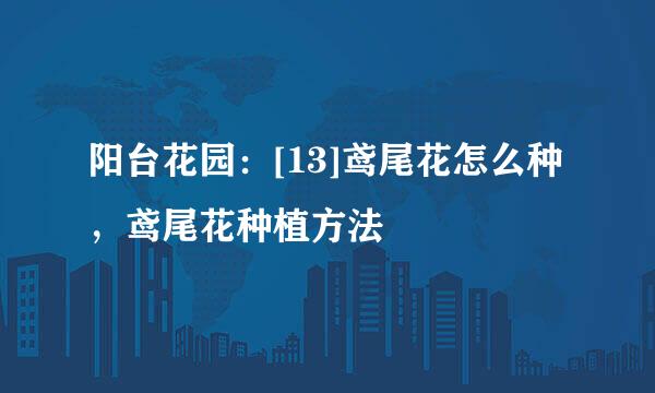 阳台花园：[13]鸢尾花怎么种，鸢尾花种植方法