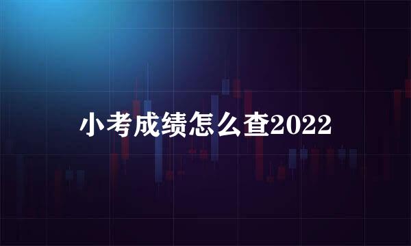 小考成绩怎么查2022