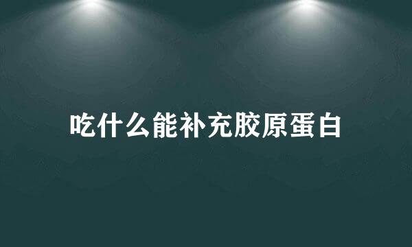 吃什么能补充胶原蛋白