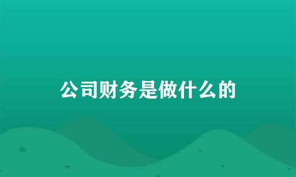 公司财务是做什么的