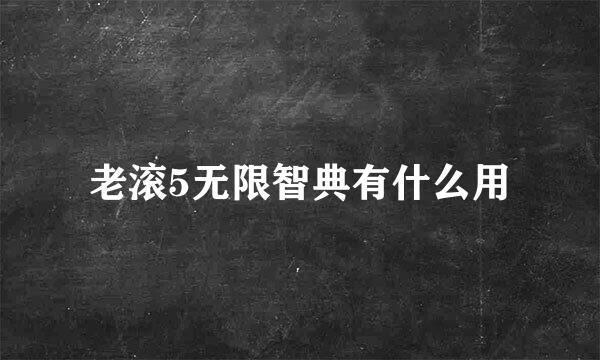 老滚5无限智典有什么用