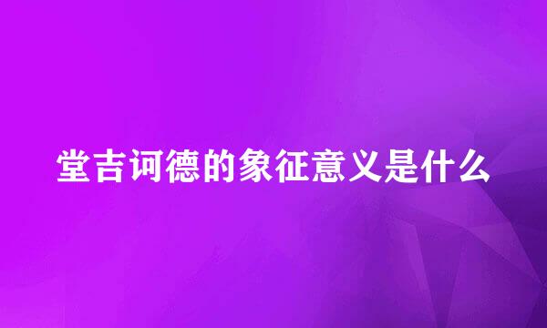 堂吉诃德的象征意义是什么