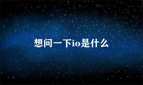 想问一下io是什么