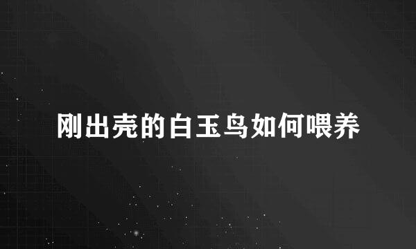 刚出壳的白玉鸟如何喂养