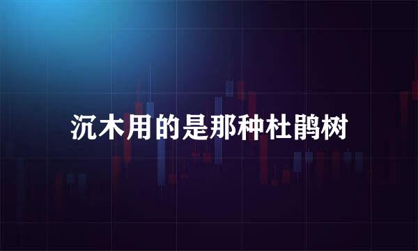 沉木用的是那种杜鹃树