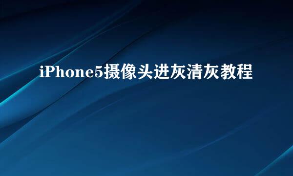 iPhone5摄像头进灰清灰教程