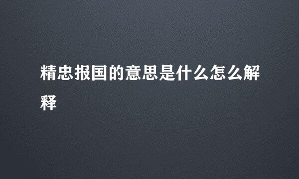 精忠报国的意思是什么怎么解释