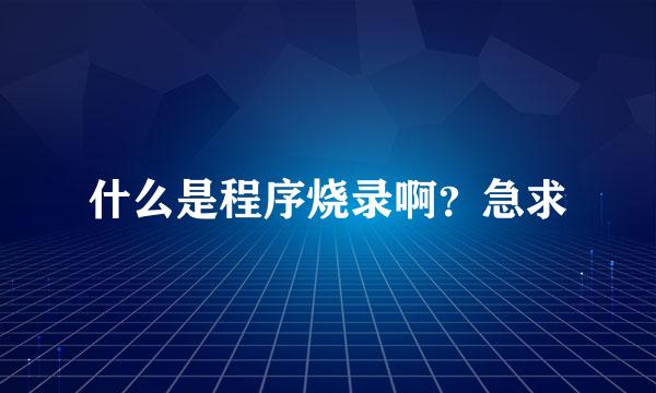 什么是程序烧录啊？急求