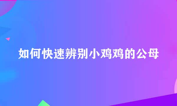 如何快速辨别小鸡鸡的公母