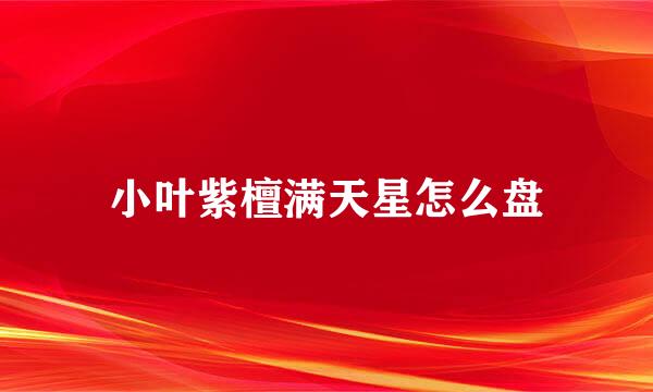 小叶紫檀满天星怎么盘