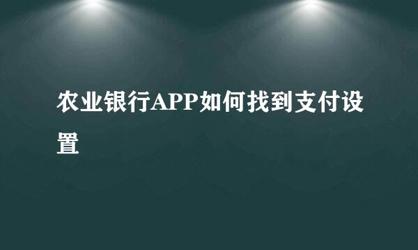 农业银行APP如何找到支付设置