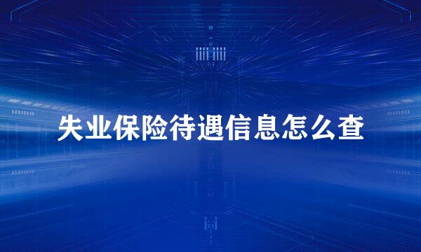 失业保险待遇信息怎么查