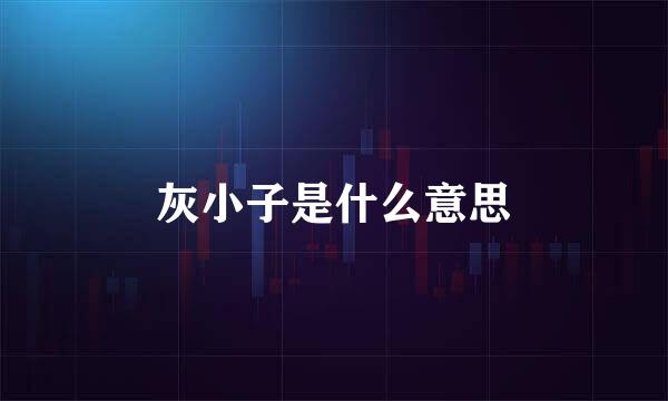 灰小子是什么意思