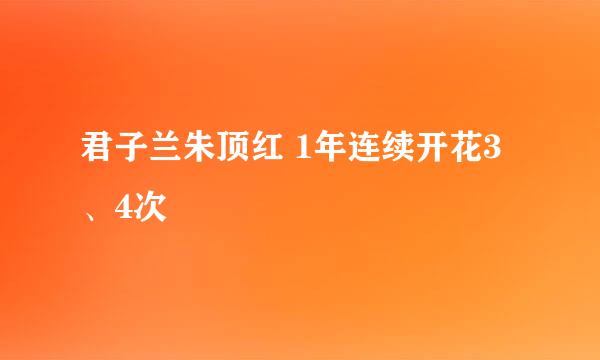 君子兰朱顶红 1年连续开花3、4次