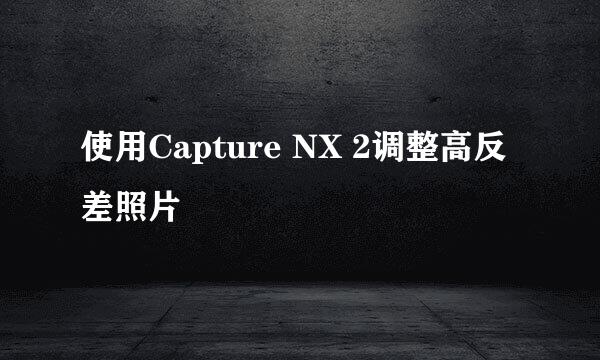 使用Capture NX 2调整高反差照片