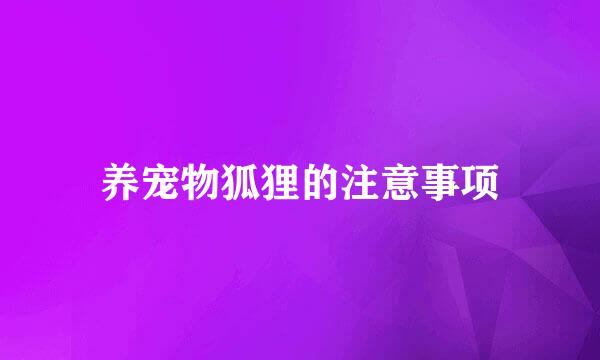养宠物狐狸的注意事项