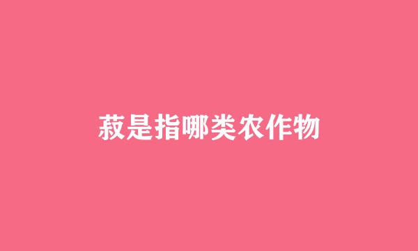 菽是指哪类农作物